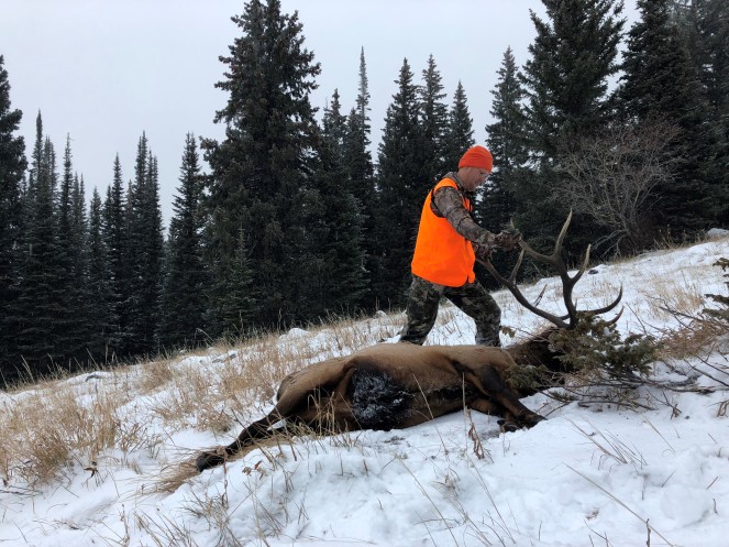 Aaron P - Bull Elk Nov 3, 2019(2)